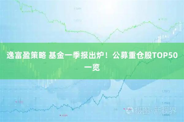 逸富盈策略 基金一季報出爐！公募重倉股TOP50一覽