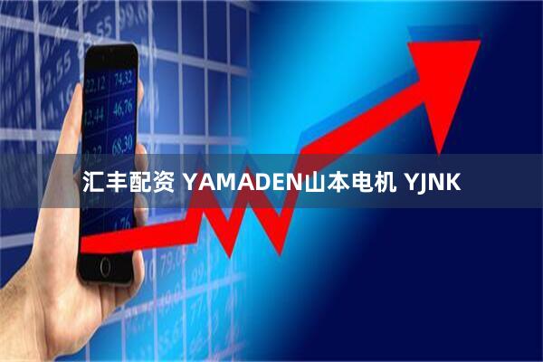 匯豐配資 YAMADEN山本電機 YJNK